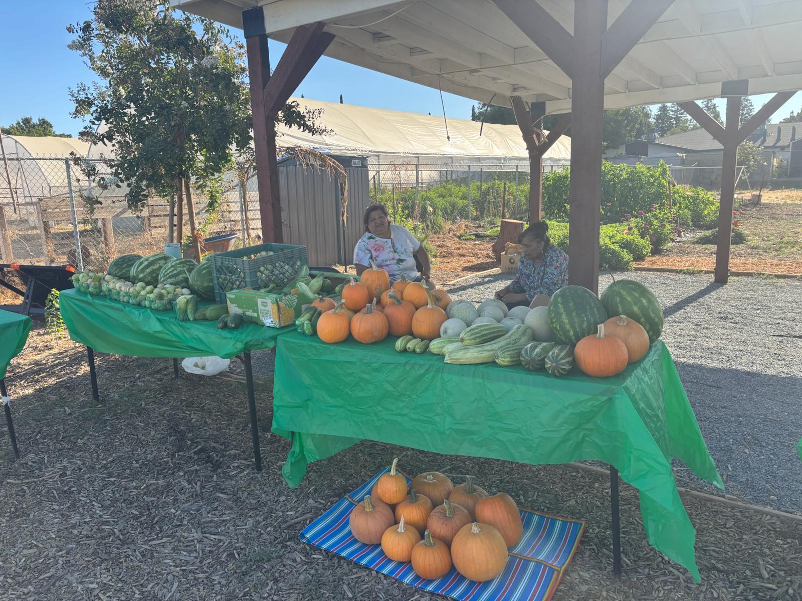 Fresh produce including pumpkins, watermelons, and squash displayed at the La Milpa de Fresno Mercadito pop-up market